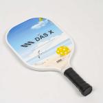 Vợt Pickleball DAS X X1