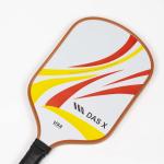 Vợt Pickleball DAS X X6