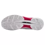 Giày cầu lông Lining AYZU021-1