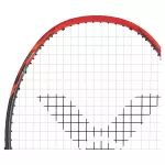 Vợt Cầu Lông Victor Ryuga TD/C chính hãng