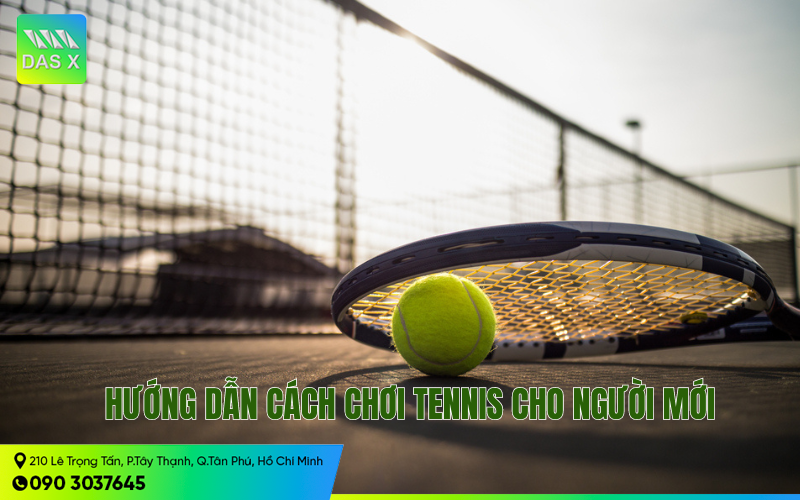 Tennis là gì? Cách chơi và luật chơi cơ bản cho người mới
