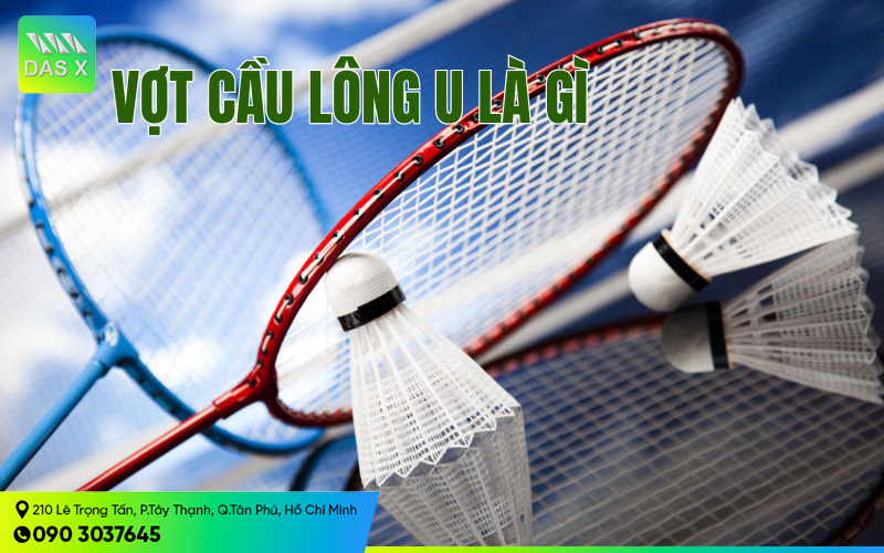 Vợt cầu lông U là gì? Nên chọn vợt cầu lông bao nhiêu U?