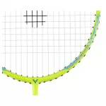 Vợt Cầu Lông Victor ARS 9